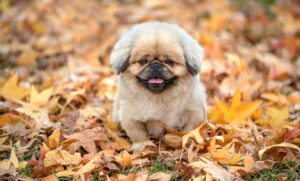 エイジングケアの効果はどれくらい？相場を知って失敗しない選び方は？